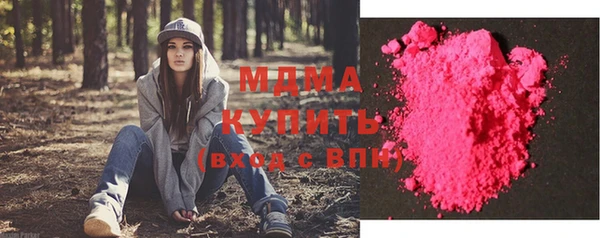 прущие грибы Абаза