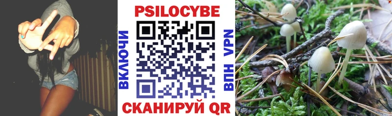 ссылка на мегу ONION Губкин Псилоцибиновые грибы Cubensis